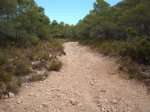 DSCF5971.JPG