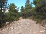 DSCF5980.JPG