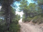 DSCF5982.JPG