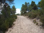 DSCF5983.JPG