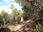 DSCF5995.JPG