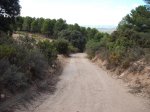 DSCF6015.JPG