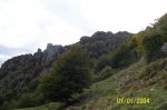 100_1141.jpg