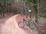 montnegre 09 013.jpg