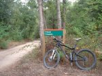 montnegre 09 015.jpg