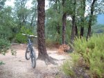 montnegre 09 030.jpg