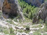 DSC00008.jpg