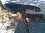 selle.jpg