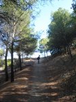 DSC02071.jpg