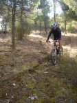DSC02080.jpg