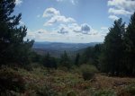 Panorama 5 (Medium).JPG