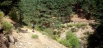Panorama 6 (Medium).JPG