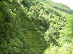 DSCN6718.JPG