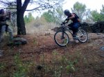 20092009_004_3.jpg