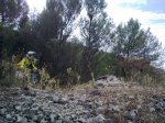 20092009_005_1.jpg