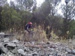 20092009_008_6.jpg
