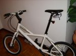 SV200333.jpg