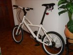 SV200337.jpg