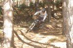 DSC_0776.jpg