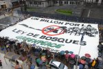 MillonDeVotosGreenpeaceI.jpg