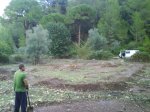 DSC00317.jpg
