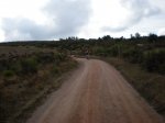 VLAMAJOR -TAGAMANENT-LA CASTANYA 007.jpg