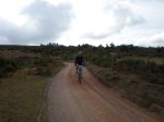 VLAMAJOR -TAGAMANENT-LA CASTANYA 010.jpg