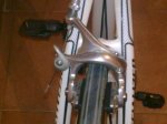 20092009_006.jpg