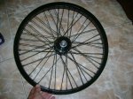DSC03475.jpg