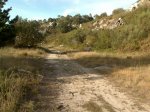 21092009084.jpg