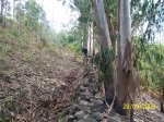 100_1187.jpg