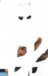 bbb.jpg