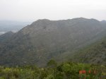 ds_romaguera 005.jpg