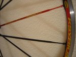 DSC00116.jpg
