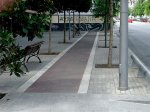 carrilbici-portal-a264d[1].jpg