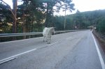 Foto5.JPG