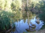 Foto8.JPG