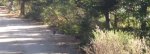 Foto9.JPG