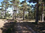 Foto32.JPG