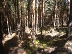Foto36.JPG