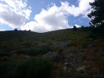 Foto58.JPG