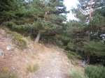 Foto60.JPG