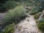 Foto64.JPG
