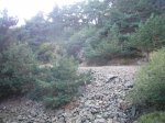 Foto65.JPG