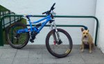 DSC00237.JPG