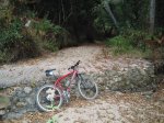 CANNONDALE II.jpg