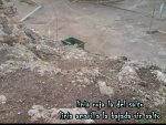 DSC00009.jpg