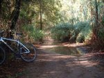 140 km montnegre 09 036.jpg