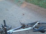 140 km montnegre 09 034.jpg