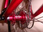 rodes progress RD pro.jpg